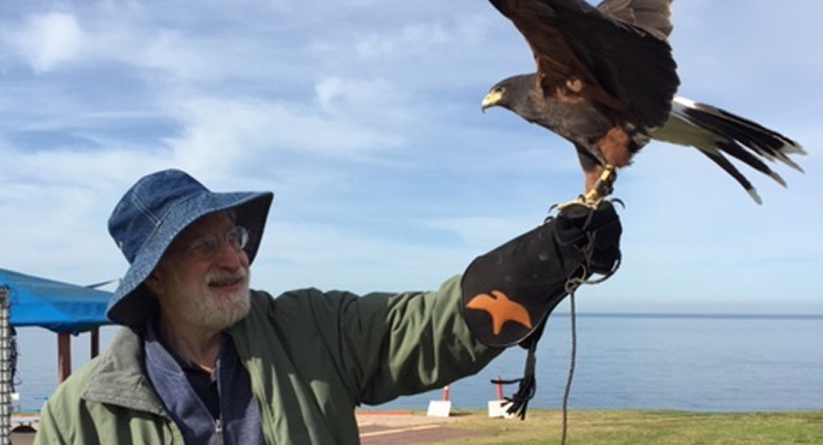 Feeding raptor in La Jolla, CA, 2022